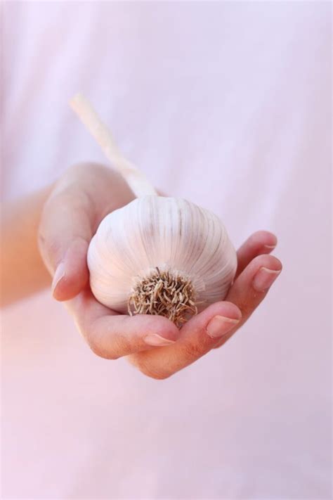 The Secret Powers of Garlic: How Witches Use it for Healing, Protection, and Spiritual Growth